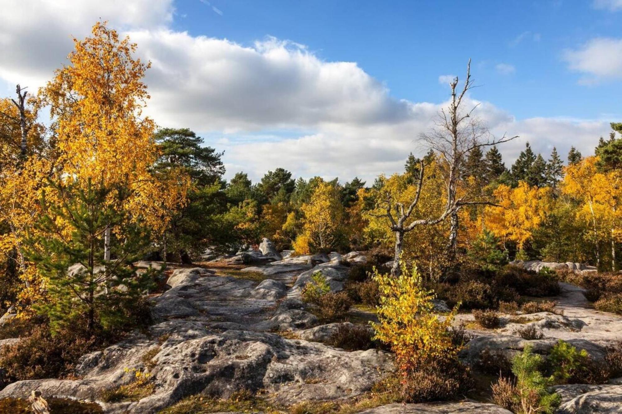 Fontainebleau - Chez Julien 아파트 외부 사진